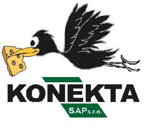 Logo Konekta SAP