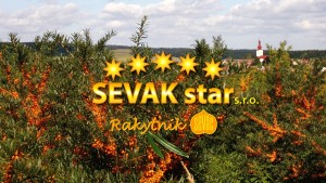 Logo SEVAK